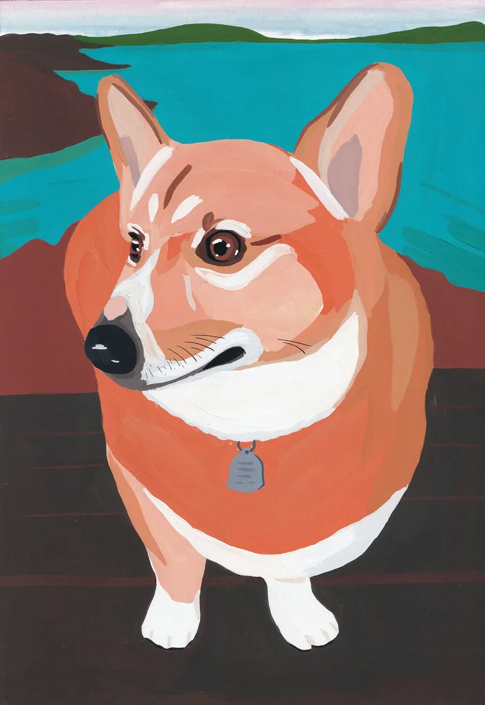 Angus