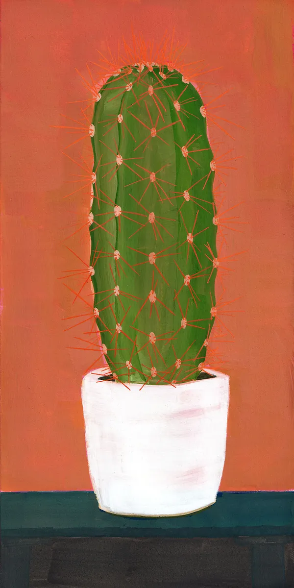 Cactus